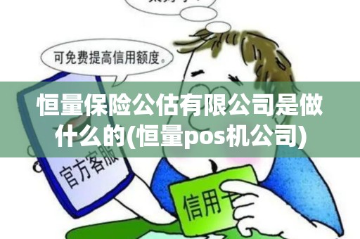 恒量保险公估有限公司是做什么的(恒量pos机公司)