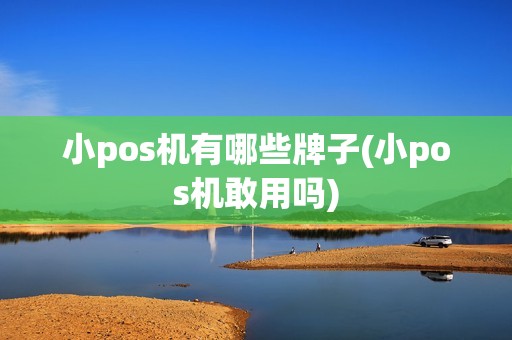 小pos机有哪些牌子(小pos机敢用吗)