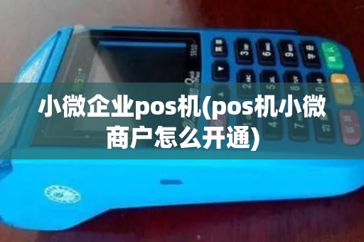 小微企业pos机(pos机小微商户怎么开通)