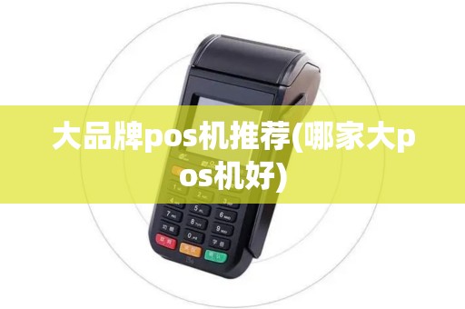 大品牌pos机推荐(哪家大pos机好)