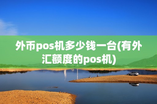 外币pos机多少钱一台(有外汇额度的pos机)