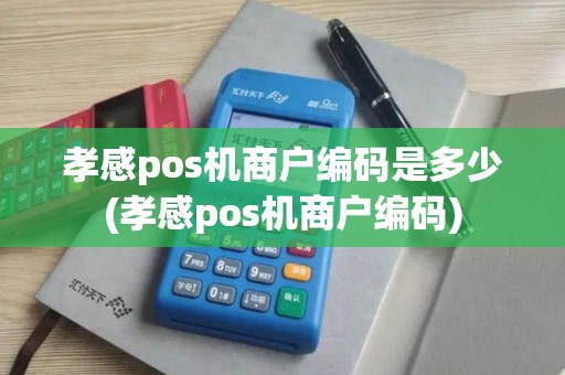 孝感pos机商户编码是多少(孝感pos机商户编码)