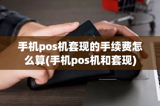 手机pos机套现的手续费怎么算(手机pos机和套现)