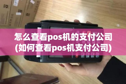 怎么查看pos机的支付公司(如何查看pos机支付公司)