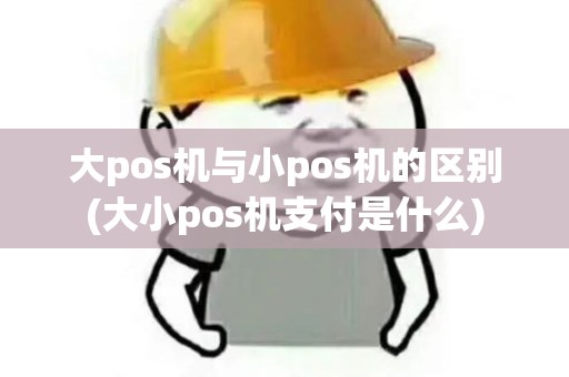 大pos机与小pos机的区别(大小pos机支付是什么)