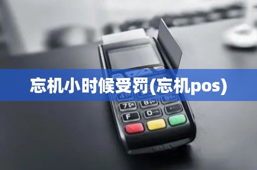 忘机小时候受罚(忘机pos)