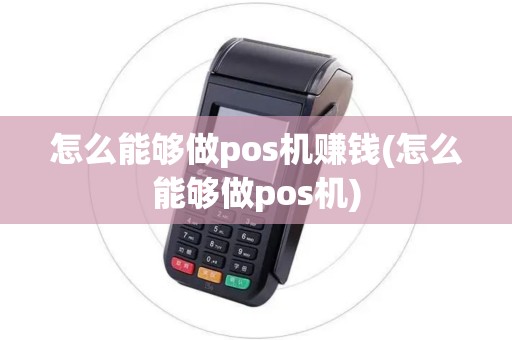 怎么能够做pos机赚钱(怎么能够做pos机)