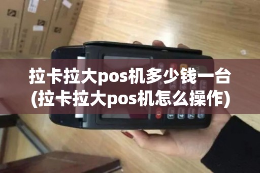 拉卡拉大pos机多少钱一台(拉卡拉大pos机怎么操作)