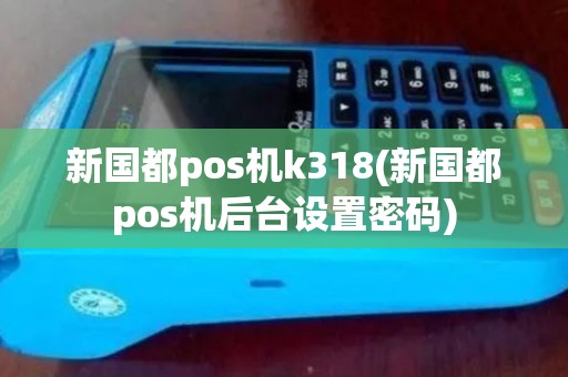 新国都pos机k318(新国都pos机后台设置密码)