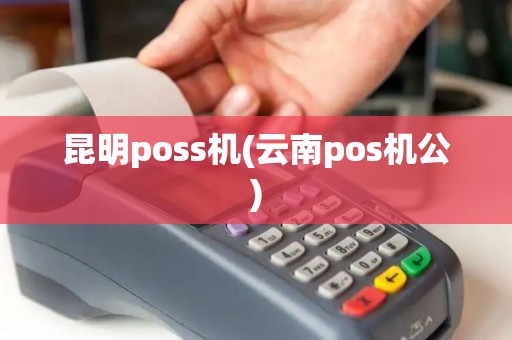 昆明poss机(云南pos机公)