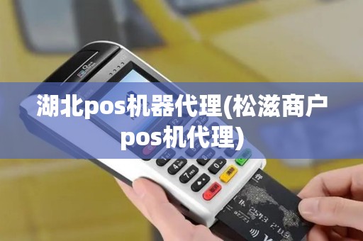 湖北pos机器代理(松滋商户pos机代理)