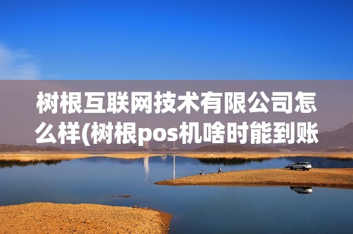 树根互联网技术有限公司怎么样(树根pos机啥时能到账)