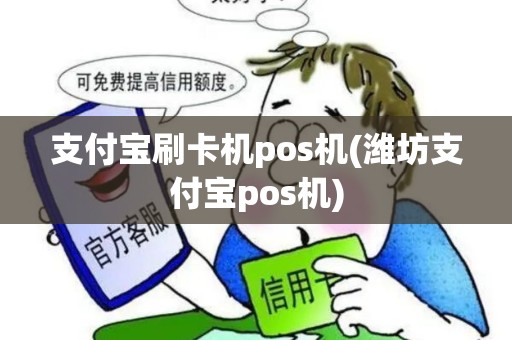 支付宝刷卡机pos机(潍坊支付宝pos机)