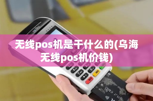 无线pos机是干什么的(乌海无线pos机价钱)