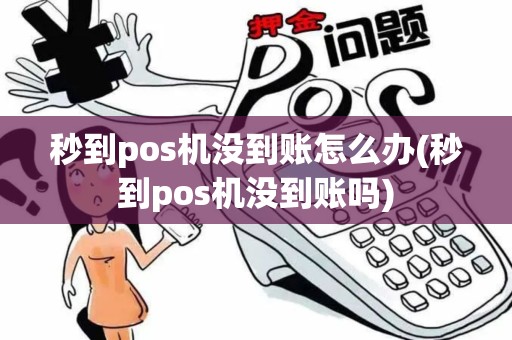 秒到pos机没到账怎么办(秒到pos机没到账吗)