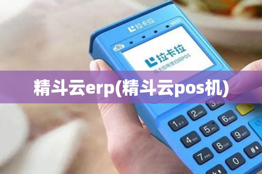精斗云erp(精斗云pos机)