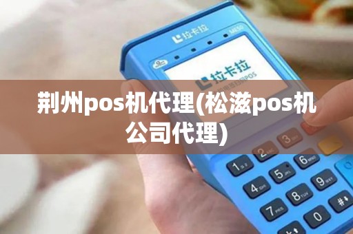 荆州pos机代理(松滋pos机公司代理)