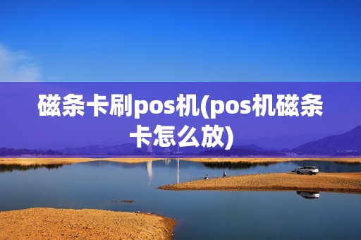 磁条卡刷pos机(pos机磁条卡怎么放)
