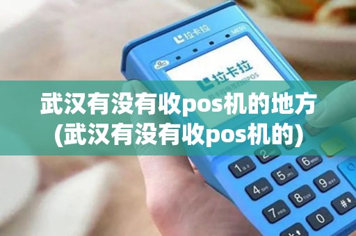 武汉有没有收pos机的地方(武汉有没有收pos机的)