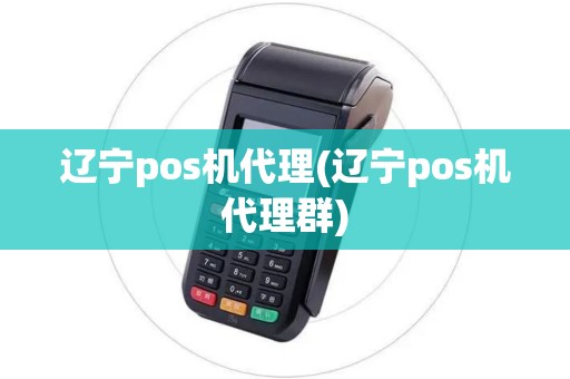 辽宁pos机代理(辽宁pos机代理群)