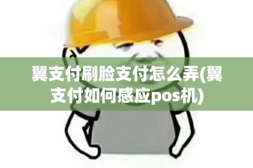 翼支付刷脸支付怎么弄(翼支付如何感应pos机)