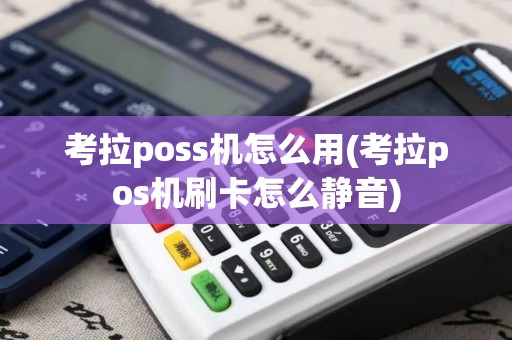 考拉poss机怎么用(考拉pos机刷卡怎么静音) 考拉poss机怎么用(考拉pos机刷卡怎么静音)