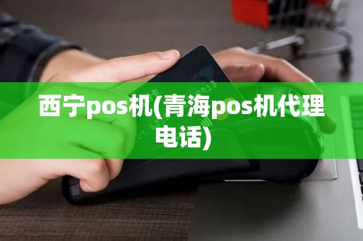 西宁pos机(青海pos机代理电话) 西宁pos机(青海pos机代理电话)