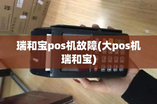 瑞和宝pos机故障(大pos机瑞和宝)