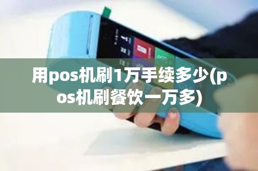 用pos机刷1万手续多少(pos机刷餐饮一万多)