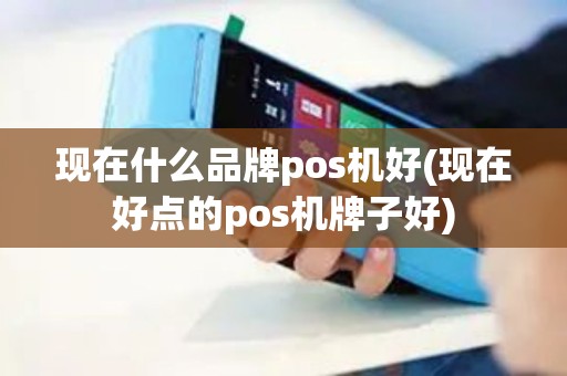 现在什么品牌pos机好(现在好点的pos机牌子好)