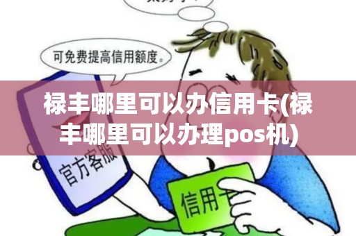 禄丰哪里可以办信用卡(禄丰哪里可以办理pos机) 禄丰哪里可以办信用卡(禄丰哪里可以办理pos机)