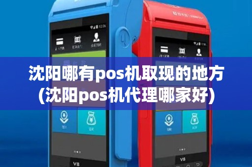 沈阳哪有pos机取现的地方(沈阳pos机代理哪家好)