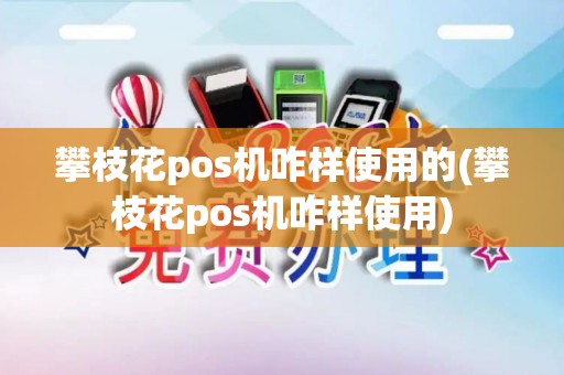 攀枝花pos机咋样使用的(攀枝花pos机咋样使用)