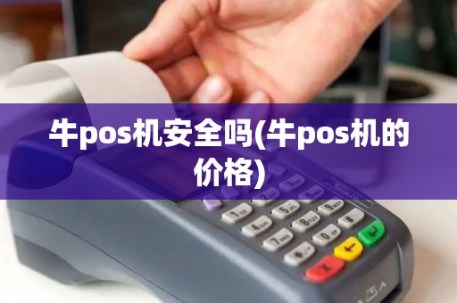 牛pos机安全吗(牛pos机的价格)