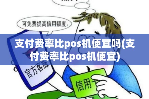 支付费率比pos机便宜吗(支付费率比pos机便宜)