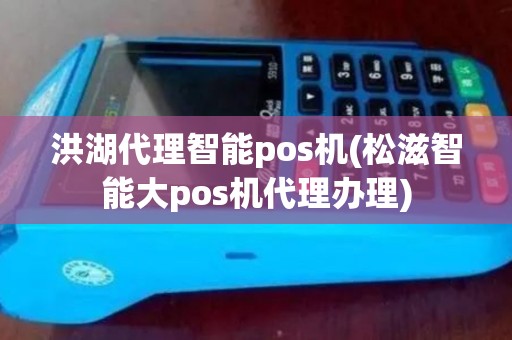 洪湖代理智能pos机(松滋智能大pos机代理办理)