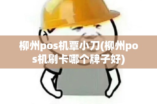 柳州pos机覃小刀(柳州pos机刷卡哪个牌子好)