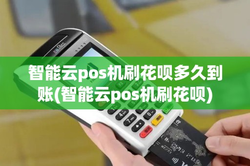 智能云pos机刷花呗多久到账(智能云pos机刷花呗)
