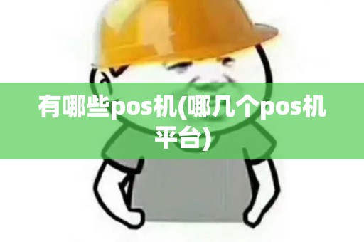 有哪些pos机(哪几个pos机平台)