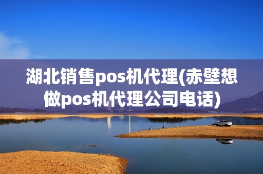 湖北销售pos机代理(赤壁想做pos机代理公司电话)