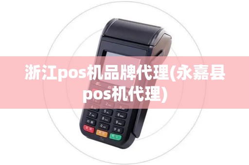 浙江pos机品牌代理(永嘉县pos机代理)
