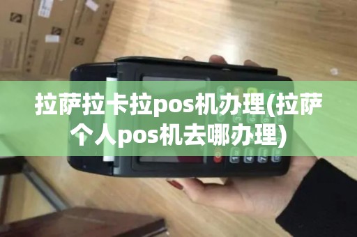 拉萨拉卡拉pos机办理(拉萨个人pos机去哪办理)
