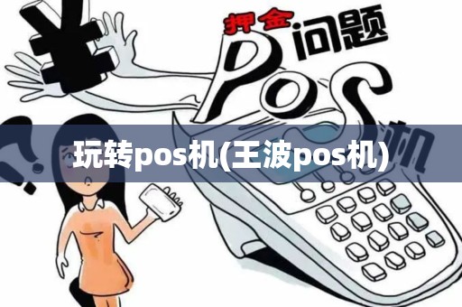 玩转pos机(王波pos机)