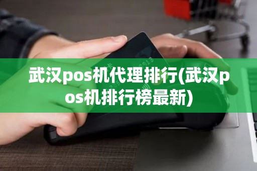 武汉pos机代理排行(武汉pos机排行榜最新)