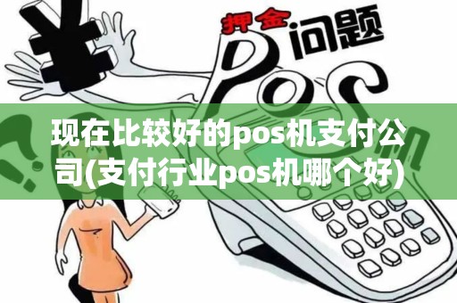 现在比较好的pos机支付公司(支付行业pos机哪个好)