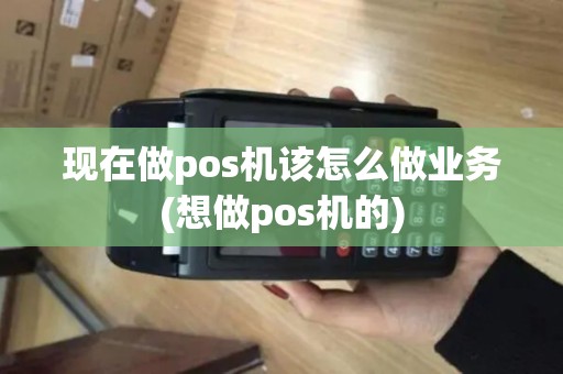 现在做pos机该怎么做业务(想做pos机的)
