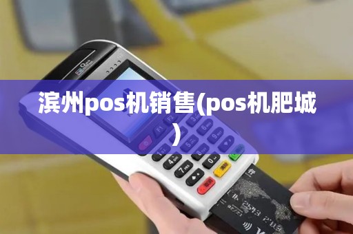 滨州pos机销售(pos机肥城)