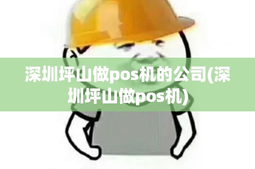 深圳坪山做pos机的公司(深圳坪山做pos机)