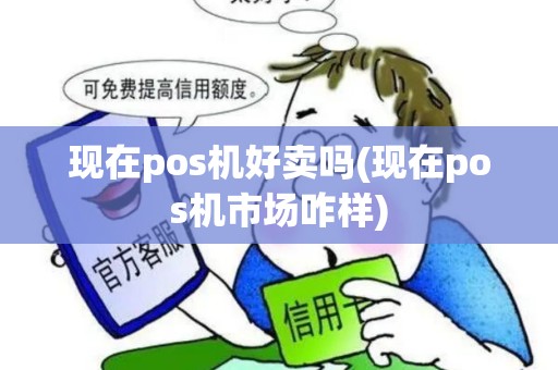 现在pos机好卖吗(现在pos机市场咋样)