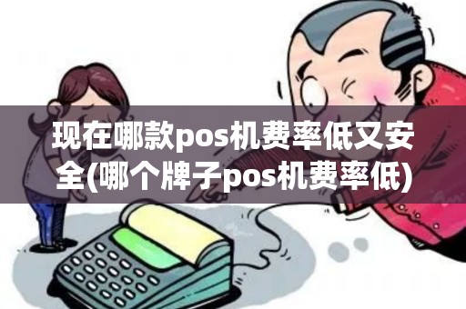 现在哪款pos机费率低又安全(哪个牌子pos机费率低)